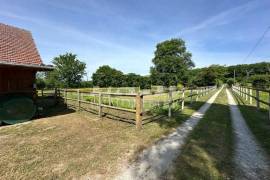Equestrian Property in 10 Hectares of Land
