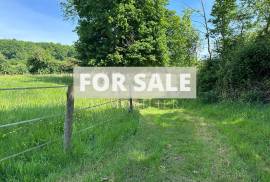 Equestrian Property in 10 Hectares of Land