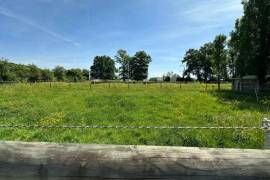 Equestrian Property in 10 Hectares of Land