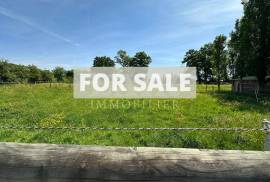 Equestrian Property in 10 Hectares of Land
