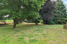 Country House with Large Rooms and Land