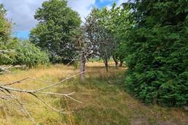 Country House with Large Rooms and Land