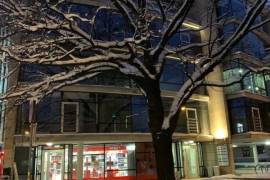 Commercial property in Riga city for rent 1.410€