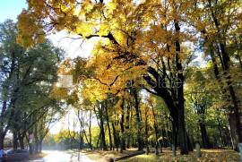 Studio for rent in Riga, 35.00m2 Studio for rent in Riga, 35.00m2