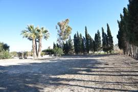 WUNDERBARES LANDANWESEN AM RANDE VON DOLORES