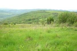 Building plot Temenouga