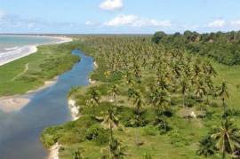 Excellent Estate of land for sale in Lucena