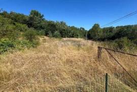 Terrain d'agrément et bois