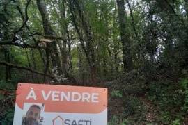 Magnifique terrain boisé constructible