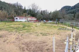 For Sale Business 2931 m² in Corfu