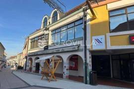 Exclusive Two-Story Office Space in Požega Pedestrian Zone