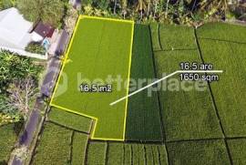 A Visionary Investment in Bali’s Emerging West – Expansive Leasehold 16.5 are Land Framed by Rice Fields, Sunrise Skies, and Mount Agung