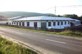 Produktionshalle mit Büroflächen / Wohnung - Rumänien