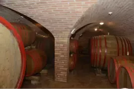 Extraordinary offer: Winery and house in Hungary