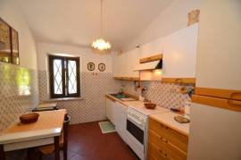 Country house with olive grove