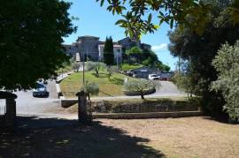 Country house with olive grove