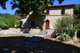 Country house with olive grove