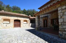 Country house with olive grove