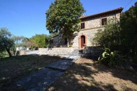 Country house with olive grove