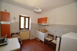 Country house with olive grove