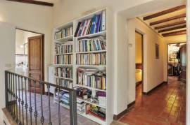 Ancient Farmhouse in Tuscany immersed in olive grove