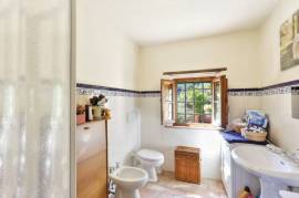 Ancient Farmhouse in Tuscany immersed in olive grove