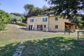Ancient Farmhouse in Tuscany immersed in olive grove