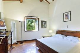 Ancient Farmhouse in Tuscany immersed in olive grove