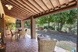 Ancient Farmhouse in Tuscany immersed in olive grove