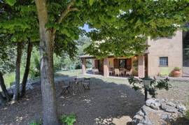 Ancient Farmhouse in Tuscany immersed in olive grove
