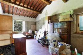 Ancient Farmhouse in Tuscany immersed in olive grove