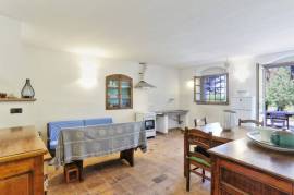 Ancient Farmhouse in Tuscany immersed in olive grove