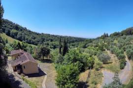 Ancient Farmhouse in Tuscany immersed in olive grove