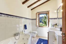 Ancient Farmhouse in Tuscany immersed in olive grove