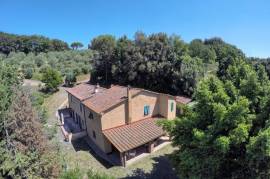 Ancient Farmhouse in Tuscany immersed in olive grove