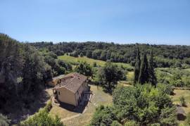 Ancient Farmhouse in Tuscany immersed in olive grove