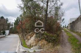 Land Viseu
