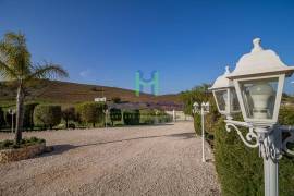 Fantastic 4 Bedroom Villa, with swimming pool, large garden, and garage, near Lagos