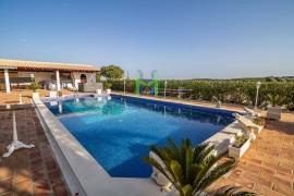 Fantastic 4 Bedroom Villa, with swimming pool, large garden, and garage, near Lagos