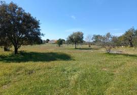 Single-storey house T4 with surrounding land + 3 adjoining rustic lands for sale