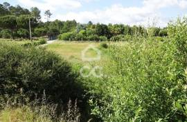 Lot with 174m2