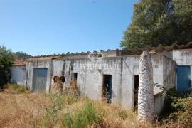 Farm with large building plot (570.000 m²) - Investment opportunity