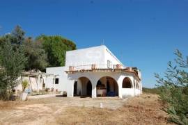 Farm with large building plot (570.000 m²) - Investment opportunity