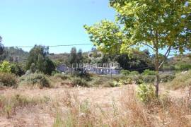 Farm with large building plot (570.000 m²) - Investment opportunity