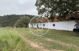 Farmhouse Rio Maior Sao Joao da Ribeira