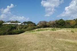 Large Residential Land Lot – 37 Heron Mill, Mullins St Peter