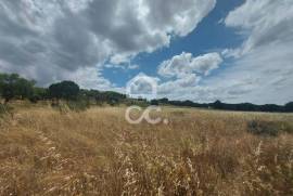 Land Mora Cabeção