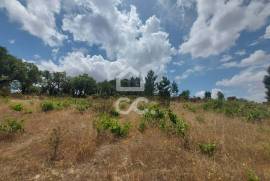 Land Mora Cabeção