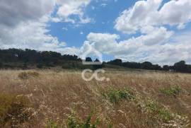 Land Mora Cabeção