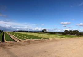 Rustico Land - Brescos - Santo André Lagoon - Melides Lagoon